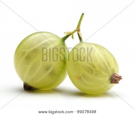 Close up of goosberries on white background