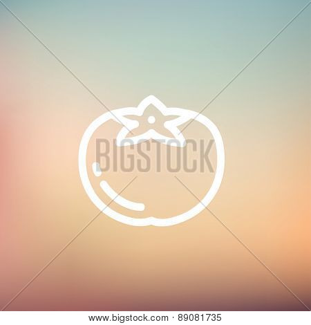Tomato icon thin line for web and mobile, modern minimalistic flat design. Vector white icon on gradient mesh background.