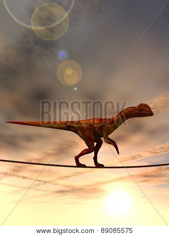 Concept or conceptual abstract business metaphor as wild heavy dinosaurus balancing on rope over sunset sky background