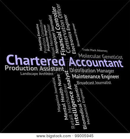 Chartered Accountant Shows Balancing The Books And Audit