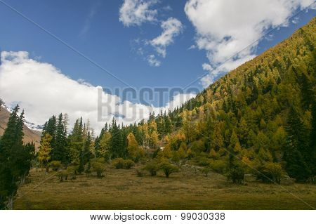 China Sichuan autumn scenery