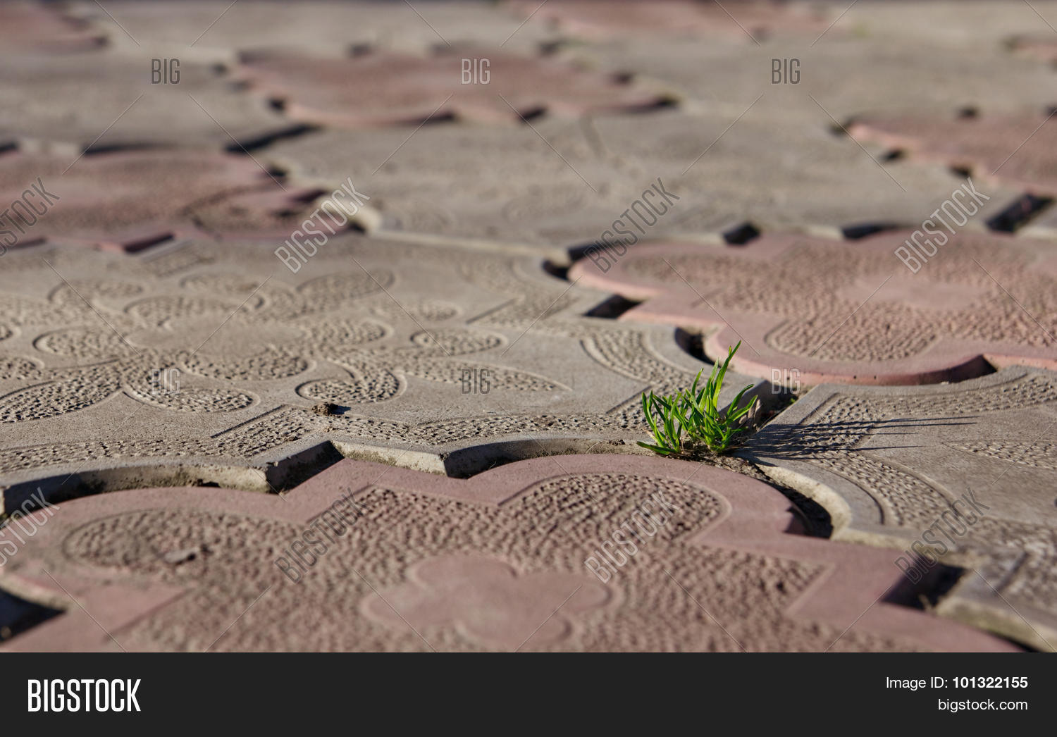 Image Preview