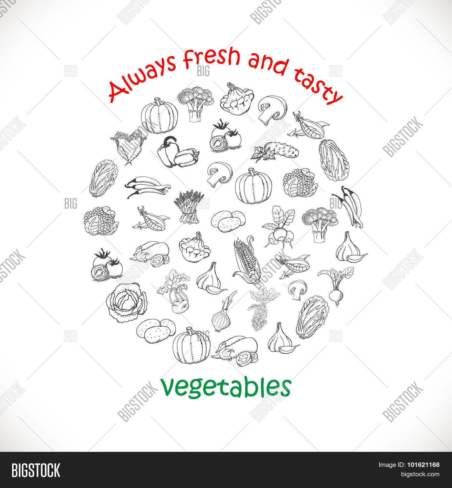 Image Preview