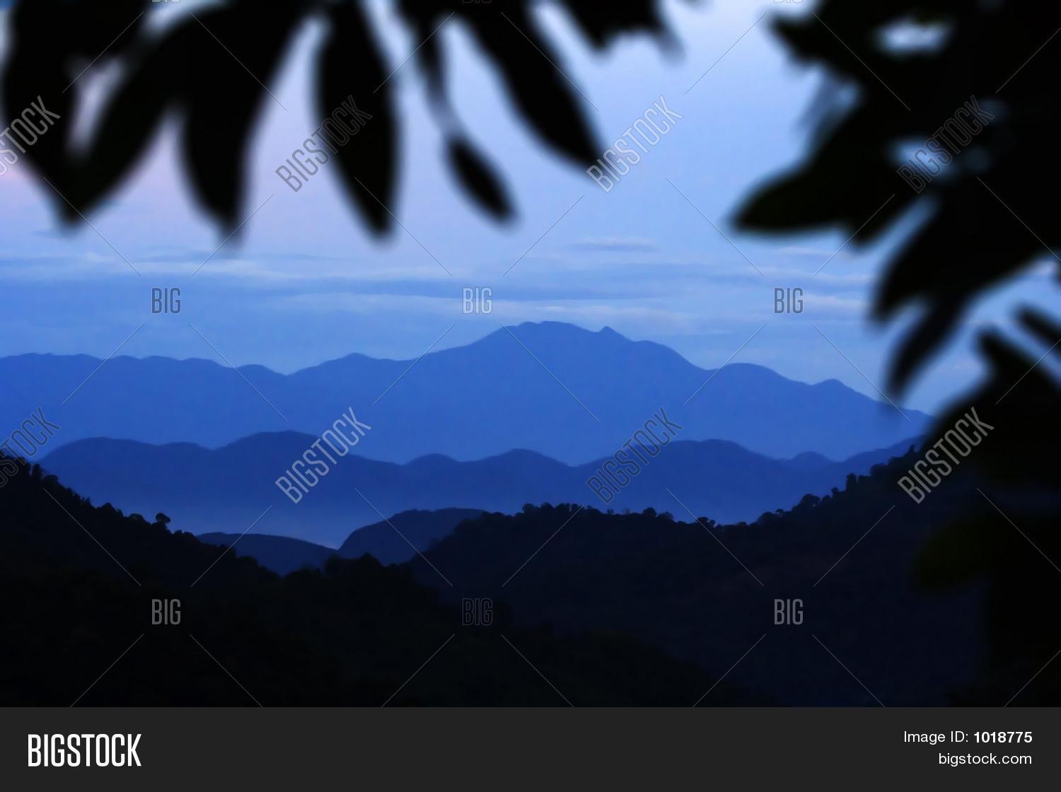 Image Preview