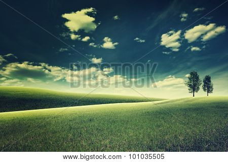 Beauty evening on the meadow. Abstract natural landscape