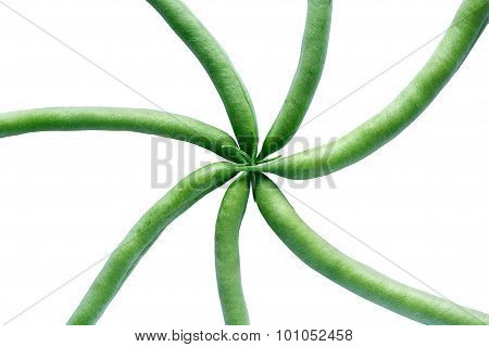 Beanstalks On White