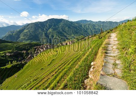 Longsheng rice terraces guilin china landscape