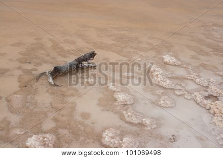 Russian Dead Sea - Lake Baskunchak, Russia