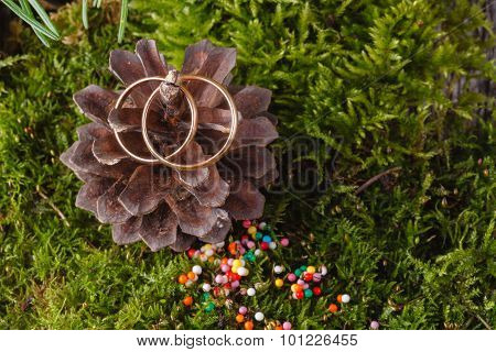 Two Golden Wedding Rings On Cone