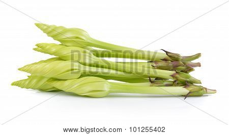 Moonflower On White Background