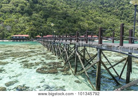 Coral reef