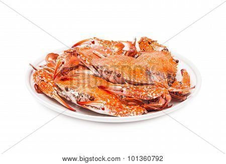Crab Steamed Seafood Isolated On White Background