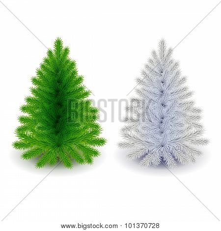Green And White Christmas Tree Isolated Vector