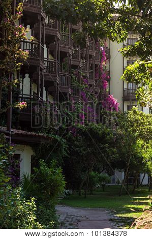 Wooden Turkich Architecture