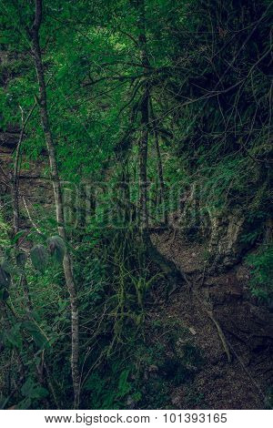 Guam gorge into wild nature