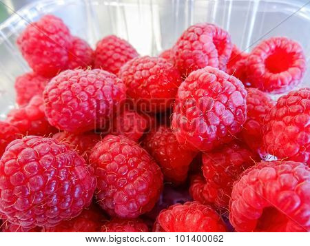 Raspberries in a punnet
