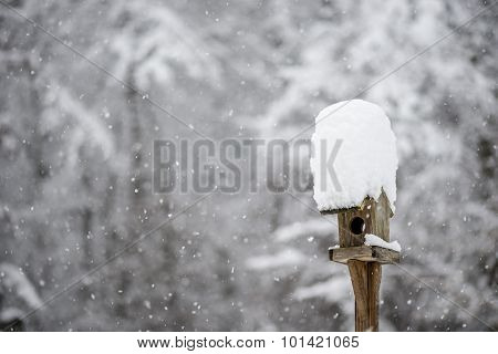 Bird Feeder With A Hat Of Winter Snow