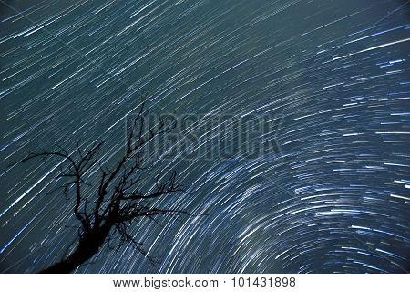 Star Trails Timelapse