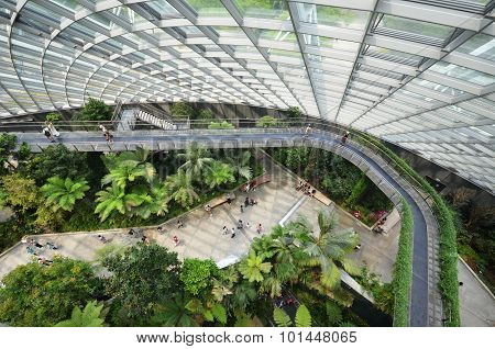 Cloud Forest At Gardens By The Bay In Singapore