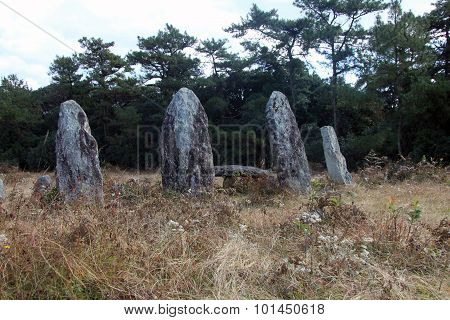 Standing stones on a hillside
