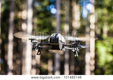 Spy Drone In The Wild