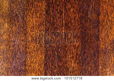 Beautiful Wall With Palm Wood