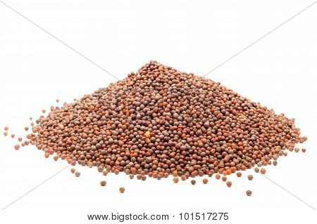 Pile of Organic brown mustard.