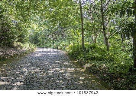Porto, Portugal - July 05, 2015: Serralves Gardens, A Green Park whit Over 18 Hectares in Porto