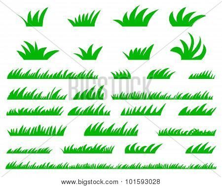 Green Grass Set Isolated On White Background Vector Illustration