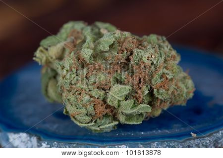 Papaya Medicinal Marijuana