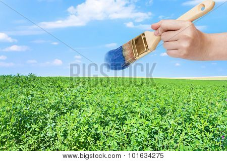 Paintbrush Paints Blue Sky Over Green Field