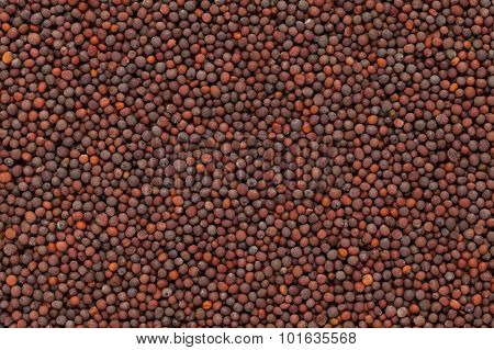 Organic brown mustard