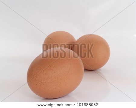 Egg Protein And Nutrients.