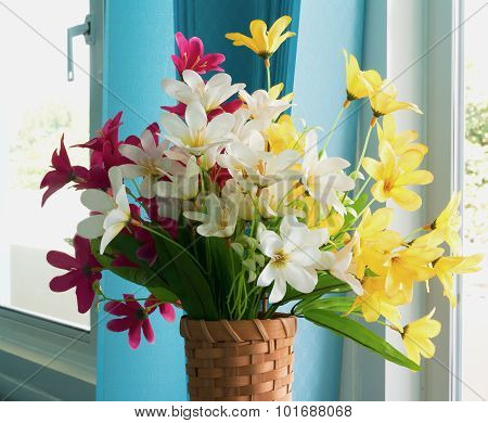 Beautiful Flowers