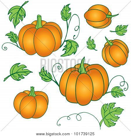 Hand Drawn Pumpkin
