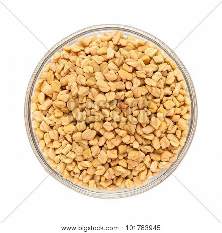 Organic Fenugreek in bowl top view.
