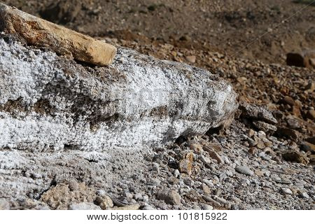 Salt Crystallisation At Coast Of The Dead Sea, Jordan