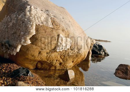 Salt Crystallisation At Coast Of The Dead Sea, Jordan