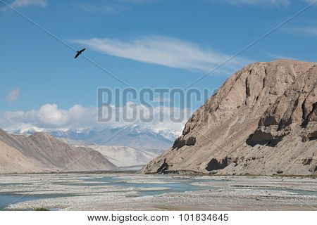Black Bird Flying Over River Valley
