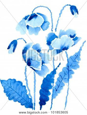 blue poppies