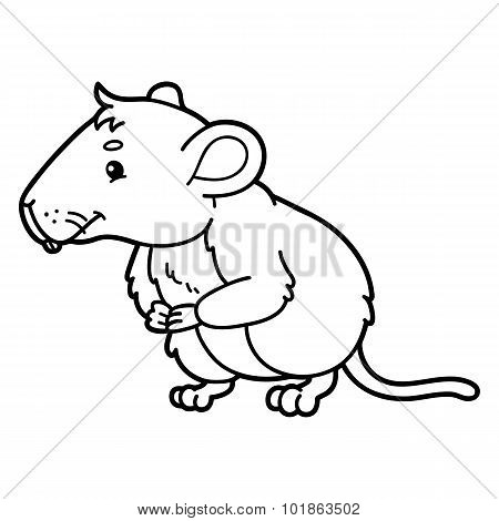 Cute vole.