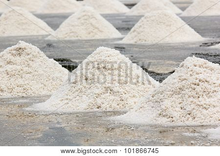 Salt Fields In Samutsongkhram