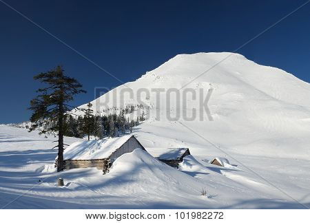 Winter landscape