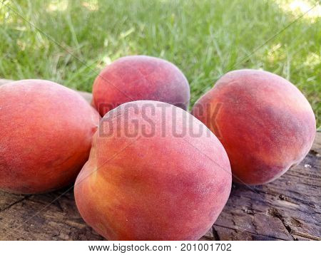 Peach on the grass peach, fruit, summer