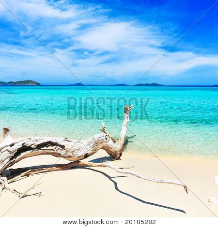 Tropical Beach Malcapuya
