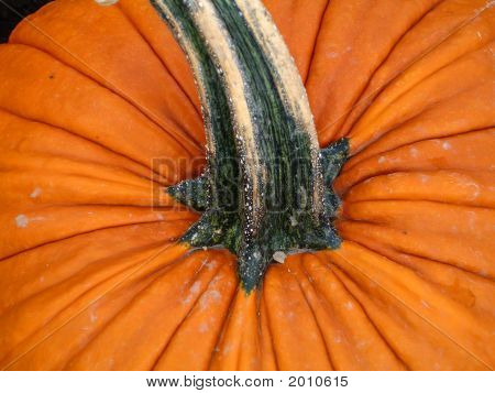 Pumpkin1