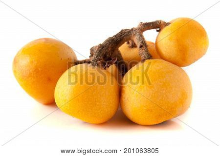 Ripe loquat or Eriobotrya japonica with leaf isolated on white background.