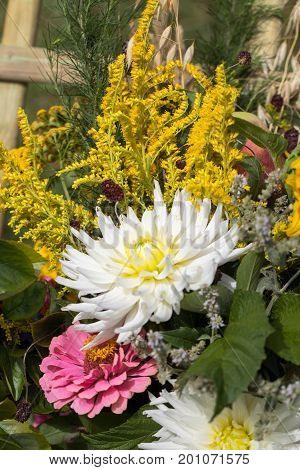 handmade beautiful bouquets from flowers and herbs