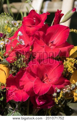 handmade beautiful bouquets from flowers and herbs