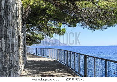Concrete path by the sea. Photographed in the summer.